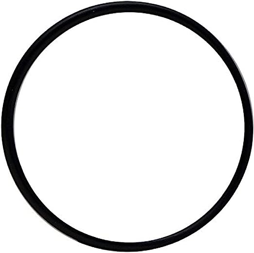 Laguna Pressure-Flo Pressurized Filter UV-C Head O-Ring